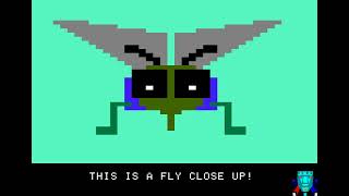 Apple II Game: Flyswatter (1978 Programma International, Inc.)