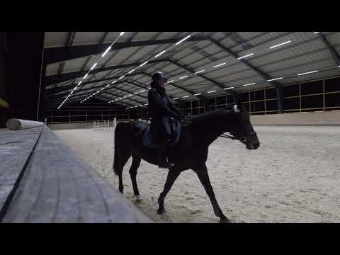 Springstunde Rudi 15 02 2019 1