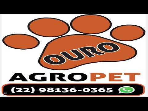 Oitavas de Final da Super Copa Noroeste 2023 Cardoso Moreira x Real VTS