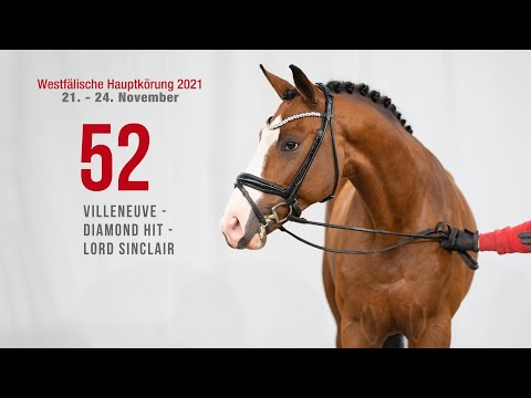 Hauptkörung 2021 Reitpferdehengste Kat-Nr. 52  Villeneuve - Diamond Hit - Lord Sinclair I