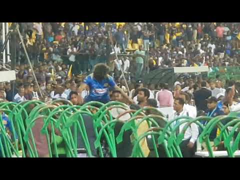 Lasith Malinga " The legend"