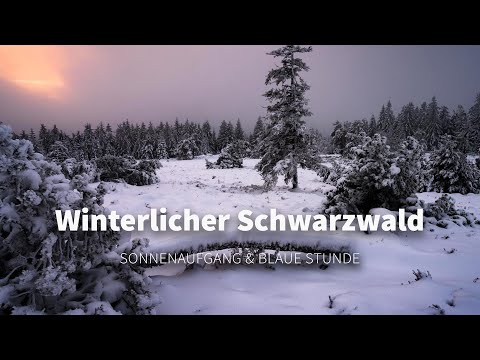 PERFEKTER Sonnenaufgang im Schwarzwald? | BehindTheScenes