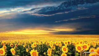 dle yaman - zara & gasparyan