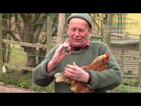 Virtual Farm Tour at Lambourne End Centre