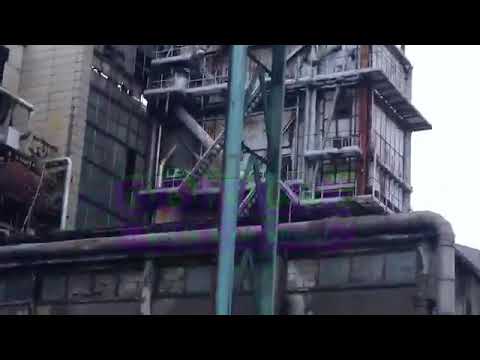 Buja feat. Lil Skubi - Gorille