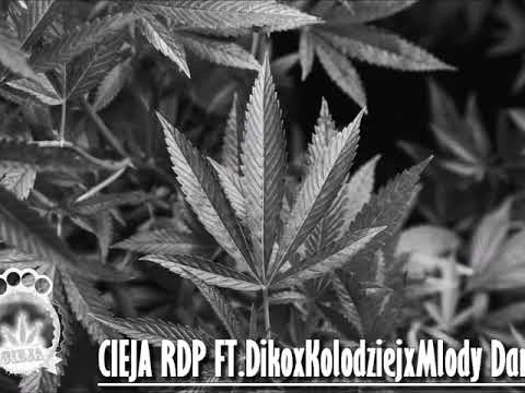 CIEJA RDP ft. Diko, Kołodziej, Młody Daniel - Zakazy Łamane
