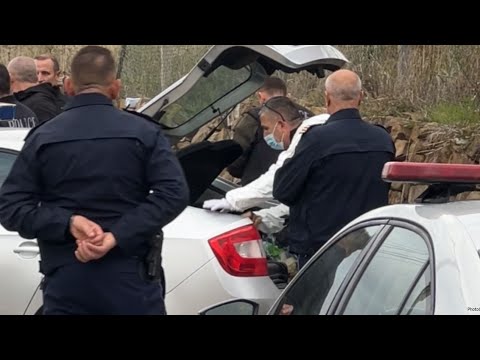 DHËNDRI vret dy kunetërit/ EKSPERTI ZBULON detajet: Konflikt i fortë FAMILJAR