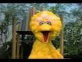 Big Bird Sings Smashing Pumpkins