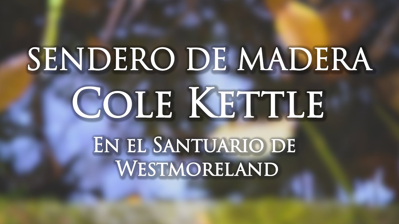 Sendero De Madera Cole Kettle