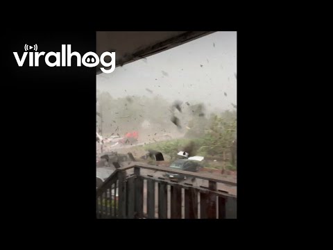 Man Watches Tornado Destroy His Apartment || ViralHog