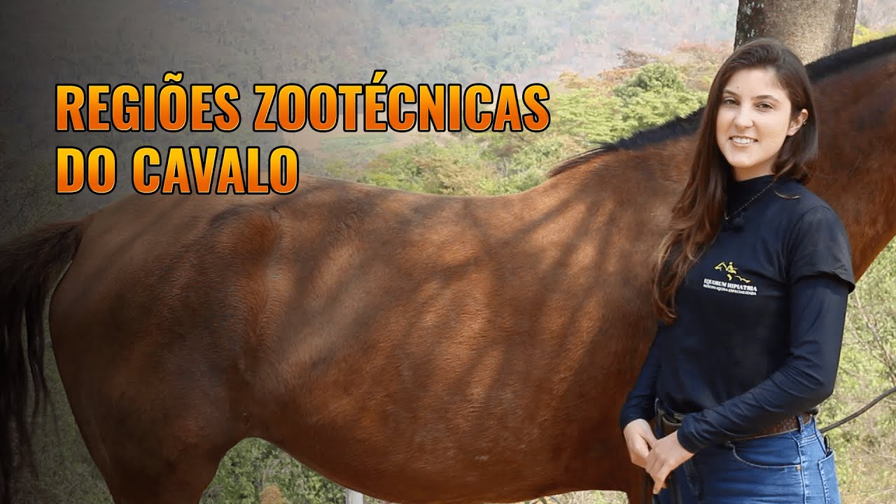 Regiões Zootécnicas do Cavalo