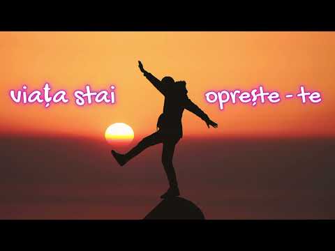 Manele"vibes  viata stai oprește - te ( oficial video ) 