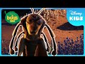Brave Ants Challenge Grasshoppers A Bug S Life Disney Kids
