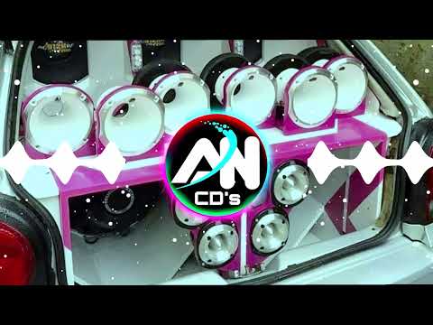 AS MAIS TOCADAS DO TIK TOK 2K24 - SELEÇÃO DE PAREDÃO 2024 - TOPS ARROCHADEIRA 2K24 - É O BRABO