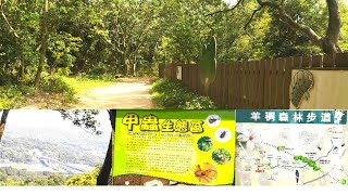 [情報] 羊稠森林步道很適合簡單動動