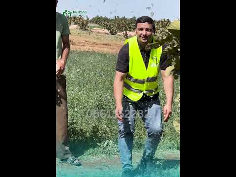 شهادة فلاح 2