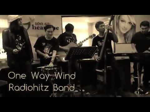 The Cats - One Way Wind cover by The Radiohitz