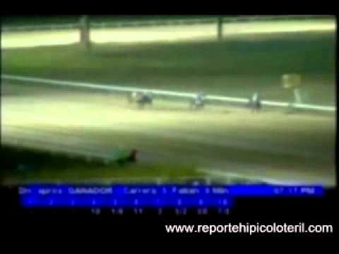 Resumen Jueves 19 de Enero de 2012 - Valencia