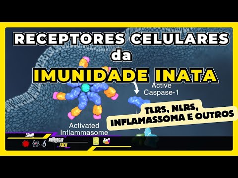 Innate Immunity - Innate Immunity Receptors (TOLL-type, NOD-type and +) [ Basic Immunology 2025 ]