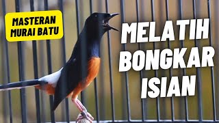 Download lagu MURAI BATU GACOR FULL ISIAN TEMBAKAN KASAR MEWAH SANGAT AMPUH MELATIH MURAI BATU EMOSI BONGKAR ISIAN mp3 Download lagu MURAI BATU GACOR FULL ISIAN TEMBAKAN KASAR MEWAH SANGAT AMPUH MELATIH MURAI BATU EMOSI BONGKAR ISIAN mp3