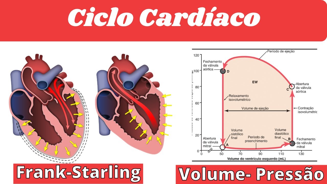 Cap.09: Diagrama volume pressão e Regulação Cardíaca [GUYTON]