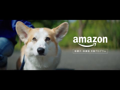 保護犬・保護猫 支援プログラム 「迎え入れたい明日につながる」篇
