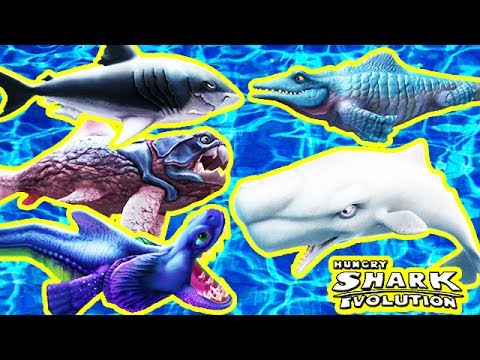 Hungry Shark Evolution - Top 5 Sharks (Megalodon, Alan, Moby Dick, Mr Snappy, Big Daddy)
