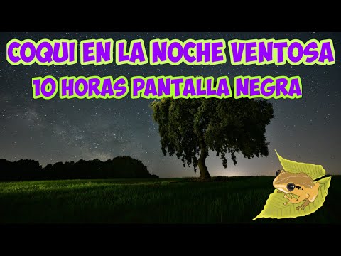 Sonido Coqui Y Noche Ventosa En El Campo Puerto Rico Relajante 10 horas