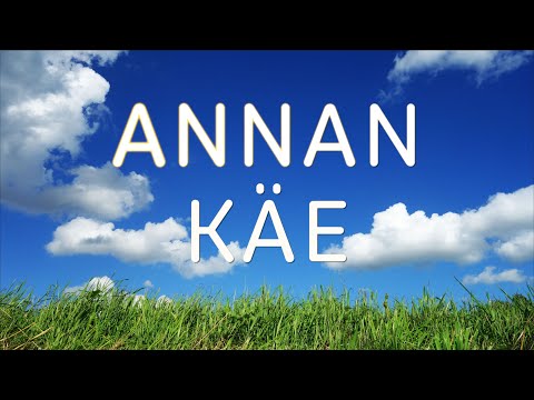 Annan käe (fonogramm + tekst)