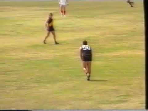 1993 GCAFL Reserves Grand Final - Labrador v Surfers Paradise