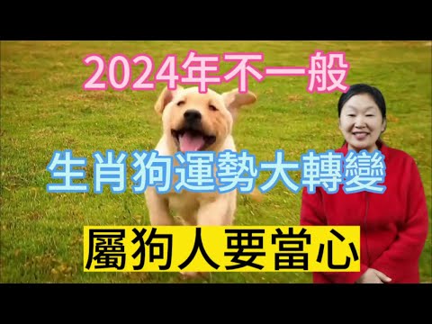 生肖屬狗