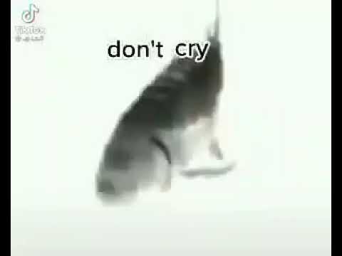 eu consegui... passei a 50/20!