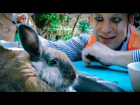 HGich.T - die heimleitung