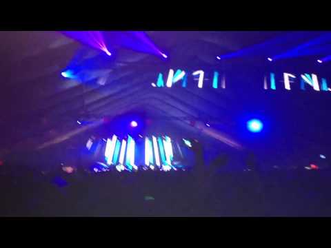 Koko prutata "Beyond Wonderland"