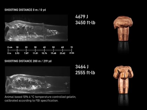 Powerhead Balde Pro  Gelatine hit - 300 Win Mag