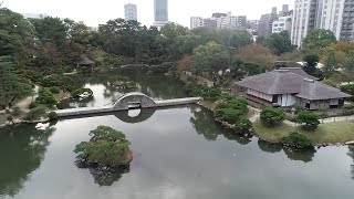 動画2