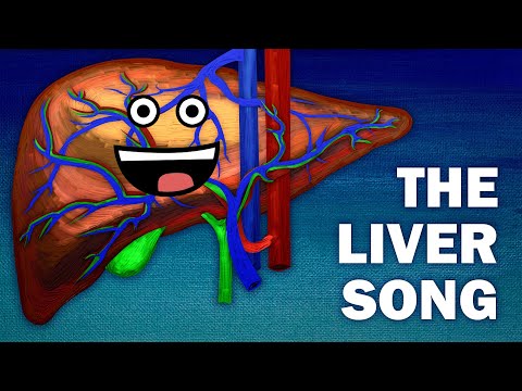 THE LIVER FUNCTIONS SONG