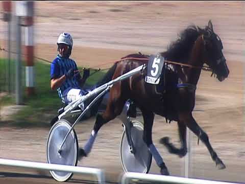 Trotto 09/09/2018 - 5ª corsa