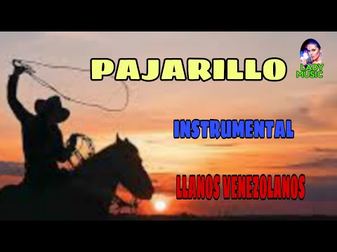 PAJARILLO instrumental (Llanos Venezolanos)