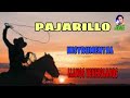 PAJARILLO instrumental (Llanos Venezolanos)