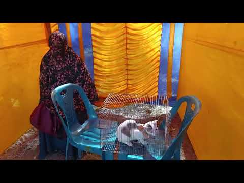 জাতীয় প্রাণিসম্পদ সপ্তাহ -২৫ উপলক্ষে স্টল