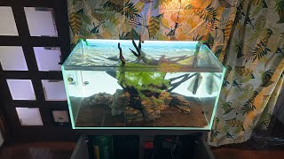 【ライブ142】ADA 90cm水槽にAIプライム設置&水草植栽