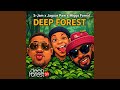 Deep Forest