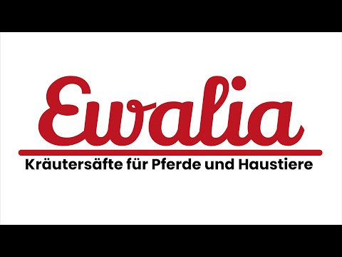 Markus Saurugg Interview mit Ewalia