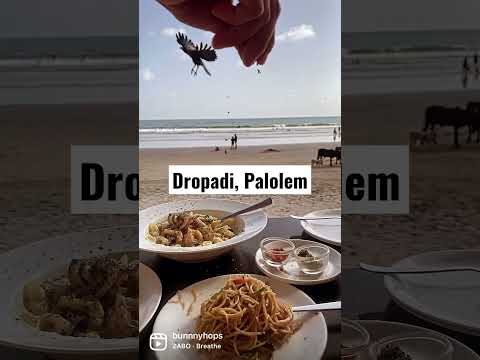 Melhor restaurante à beira-mar no sul de Goa | 100 dias de viagem, dia - 32