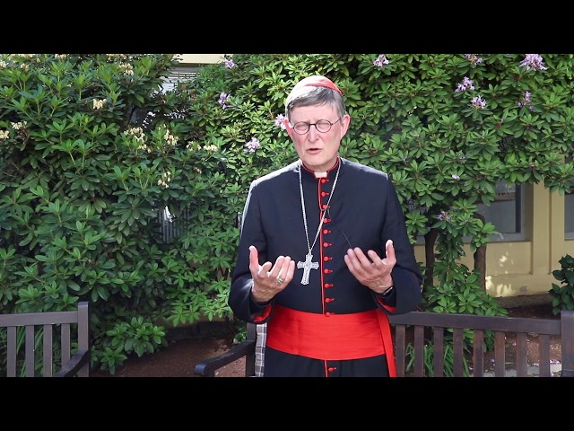 Kardinal Woelki: 