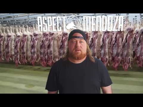 Aspect Mendoza - Ça fait partie du plan! // Prod Axizzle (Extrait de C'est ça l'Amérique vol.3)