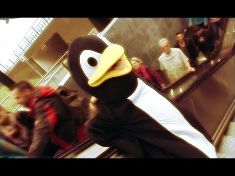 JimmyKe - Pinguïn Polonaise