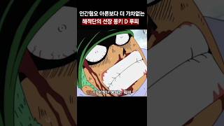 🔥조로에게는 아론보다 가차없는 루피🔥