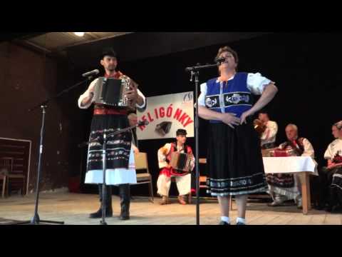 heligonkari budina 2015 - r. torok & m. sykorova